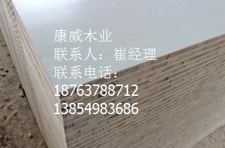 好色先生APP下载污